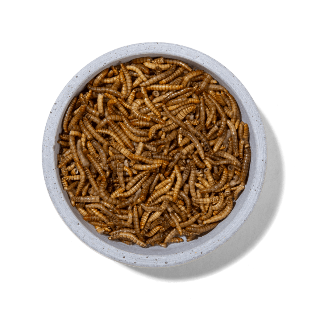 Mehlwürmer Natur 125 g