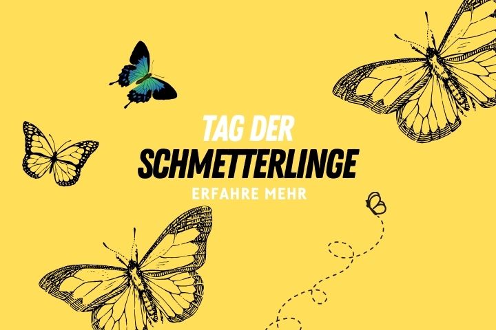 Schmetterlinge-Tag